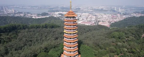 香港到江門 中港跨境包車服務