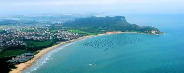 香港到茂名 中港跨境包車服務