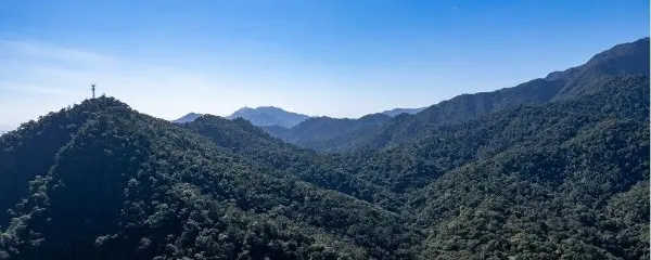香港往肇慶 - 中港跨境包車連司機服務